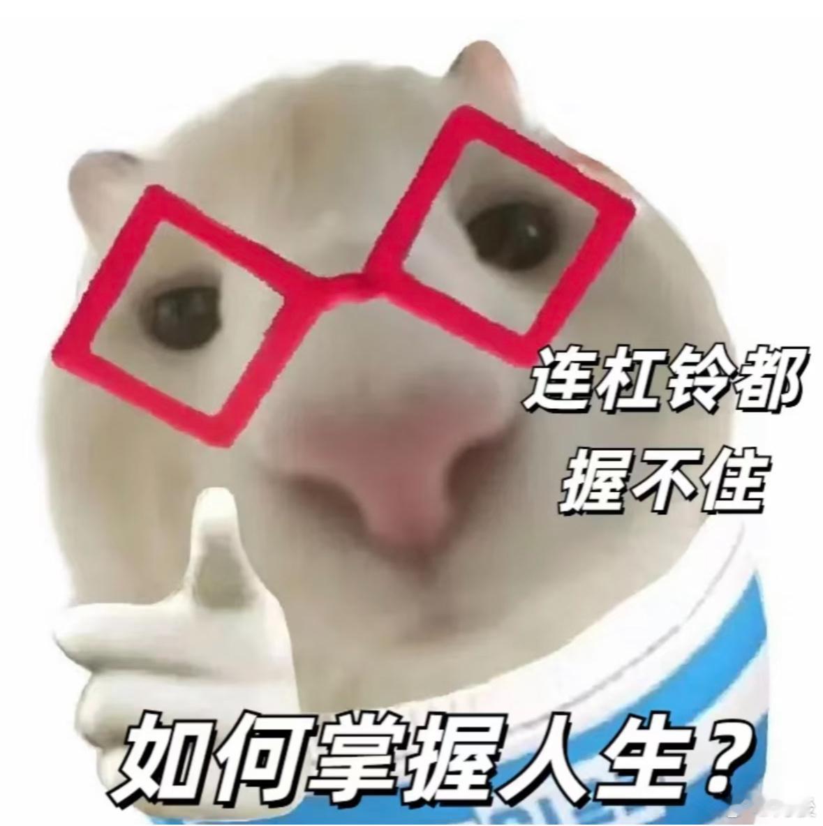 沈星回还有这作用 谁懂啊！“沈星回老婆” 这五个字简直是打卡暗号！不管是瑜伽垫上