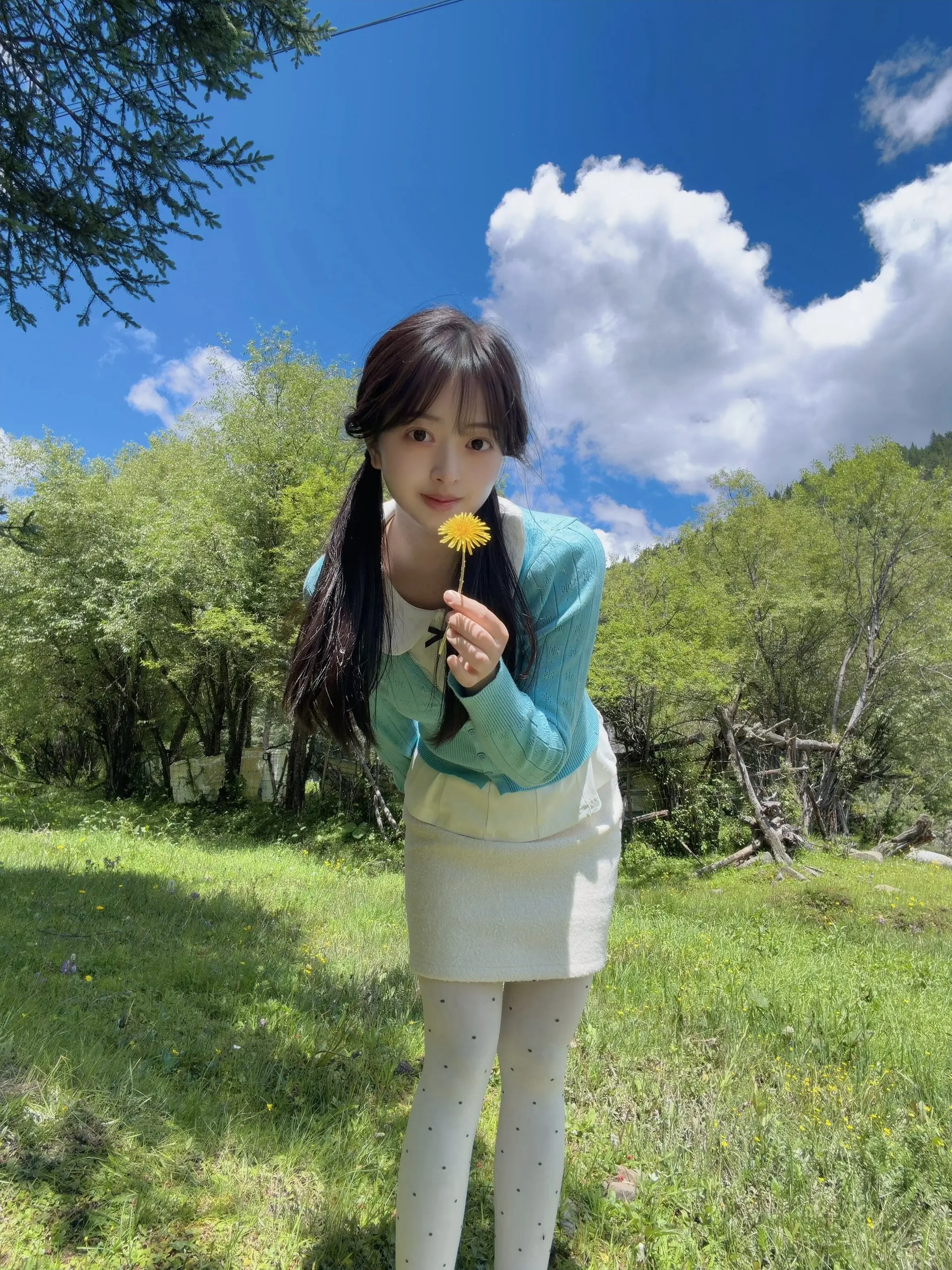 🌱𝑆𝑢𝑚𝑚𝑒𝑟♪｜🌼🌤。美羊羊回青青草地啦✨🌱🥳