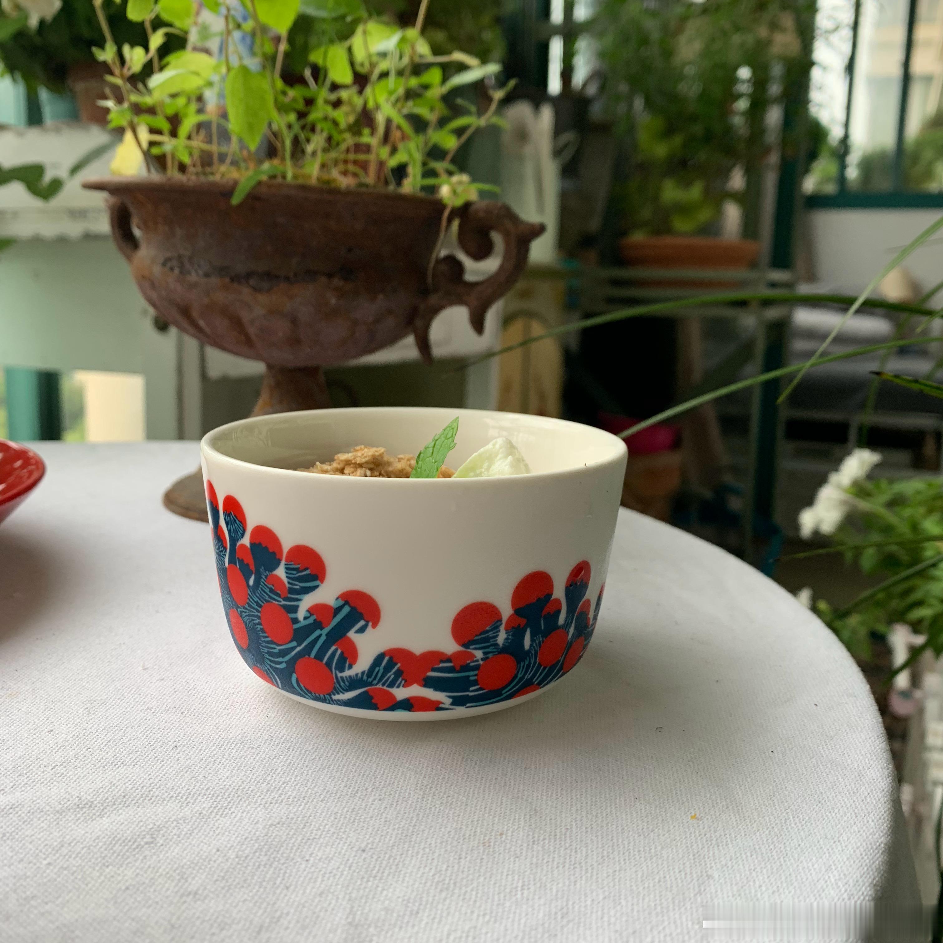 雨一直下温度也不差还有一周下呀只能接受它调节自己看花花 