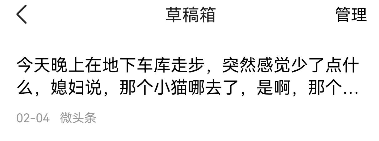 （这是我2月4日想发的文章，阴差阳错没发，流浪猫回来了，没想到今天流浪猫真的死了