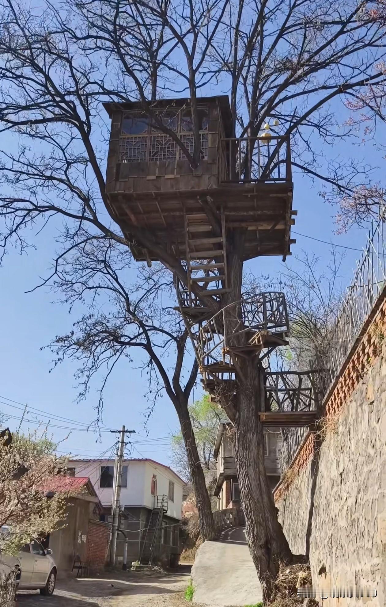 承德市鹿栅子沟的树屋真漂亮啊！