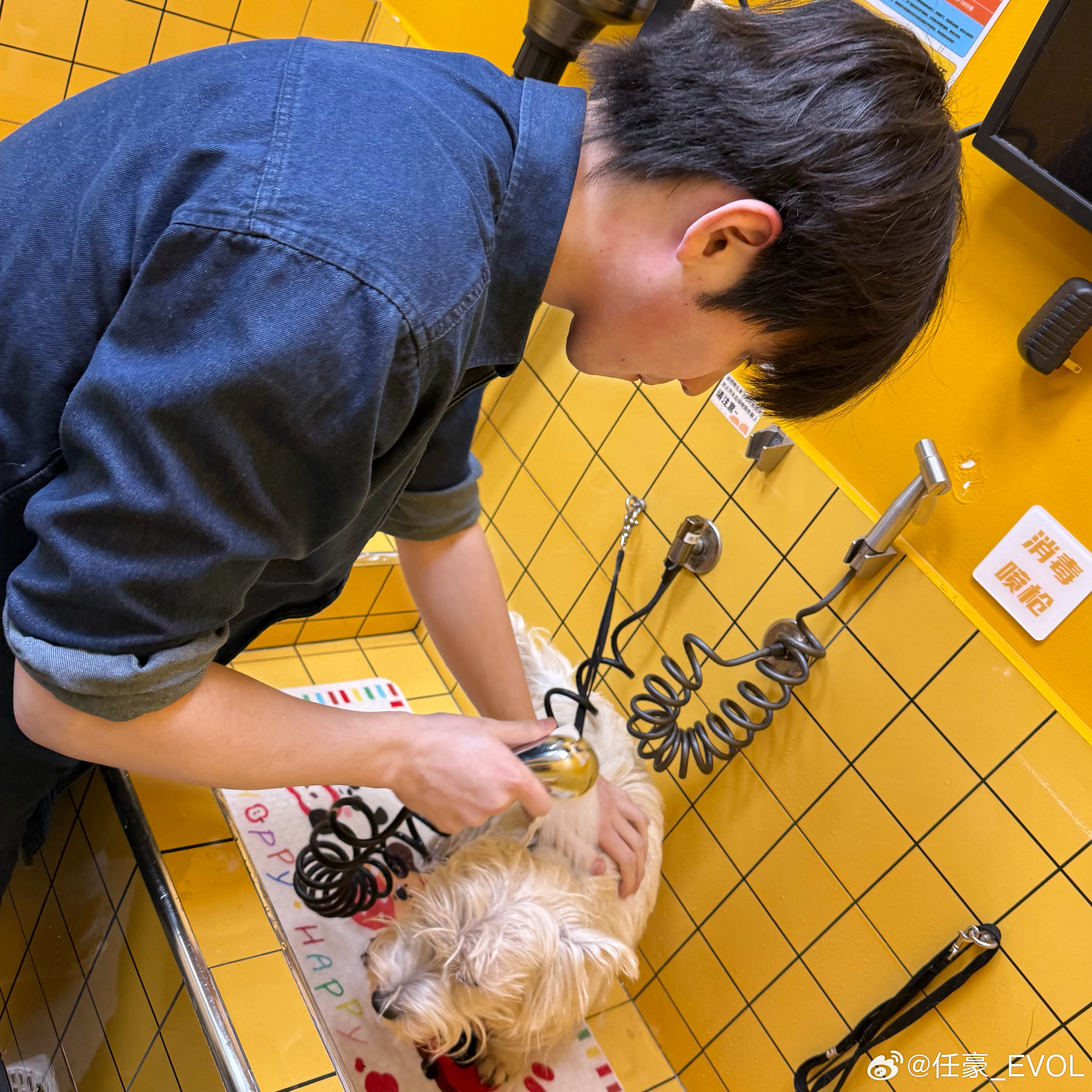 我家人夫好勤快 