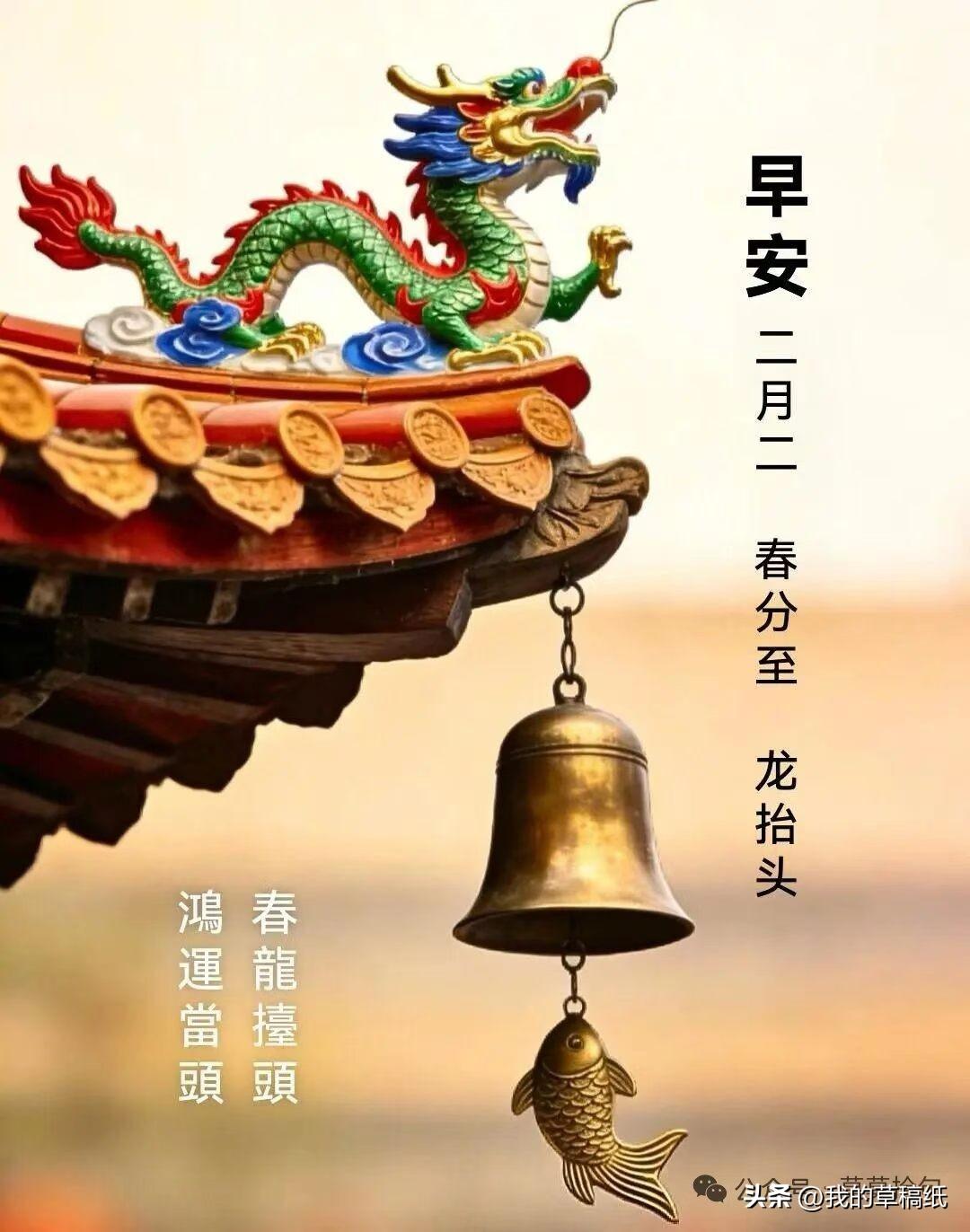 二月二龙抬头，今天西宁活动精彩纷呈，赶紧行动！
 
春风拂面，龙抬吉头，农历二月