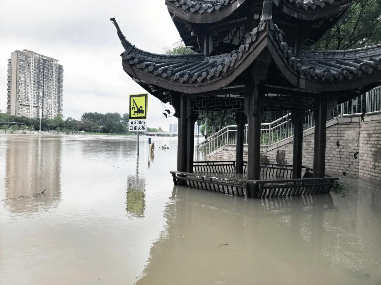 湖州人别松劲！“白海豚”残余今夜扑来，暴雨最强时段到了！
台风“白海豚”虽然已经