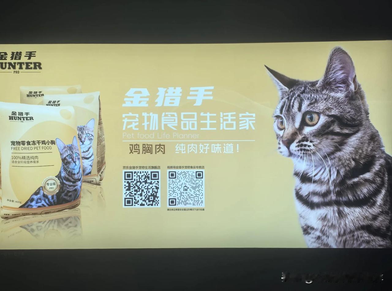 人不如猫
​        俺们小时候，老人说：猫有九条命，伤的再重，瘸几天，就