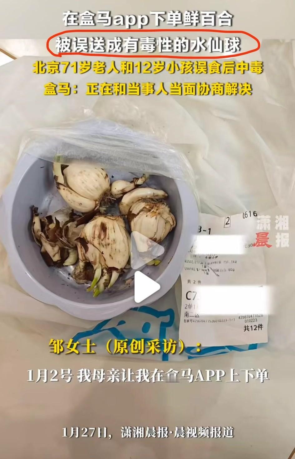 老太太把水仙球当鲜百合煮了，捡错货遇到不识货，但凡有一个靠谱也不至于发生中毒事件