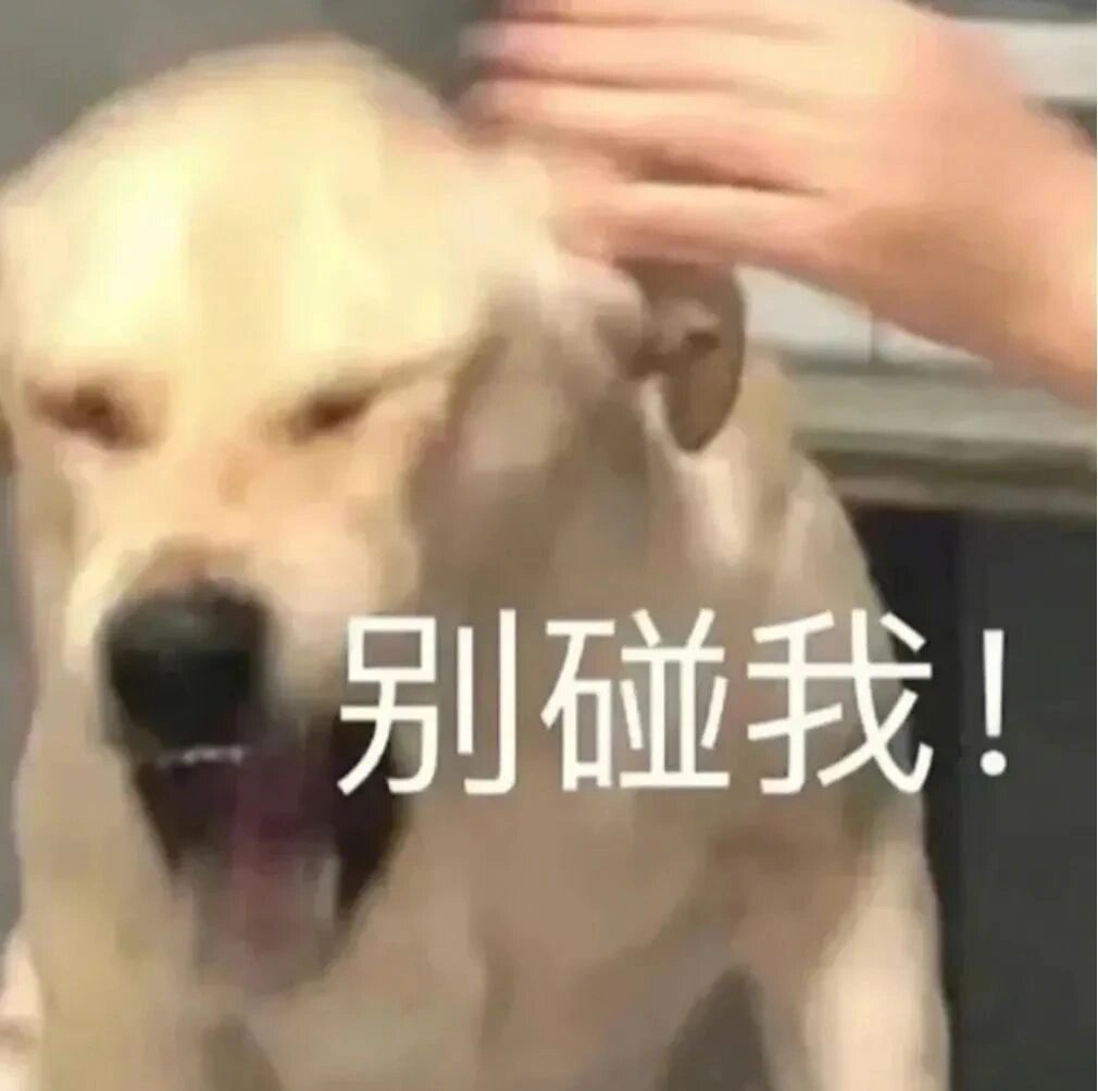 发疯表情包 ​​​