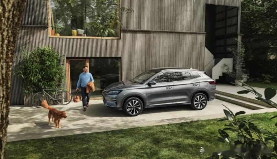 3月，比亚迪在葡萄牙卖了745辆
3月，名爵在葡萄牙卖了888辆
3月，小鹏在葡