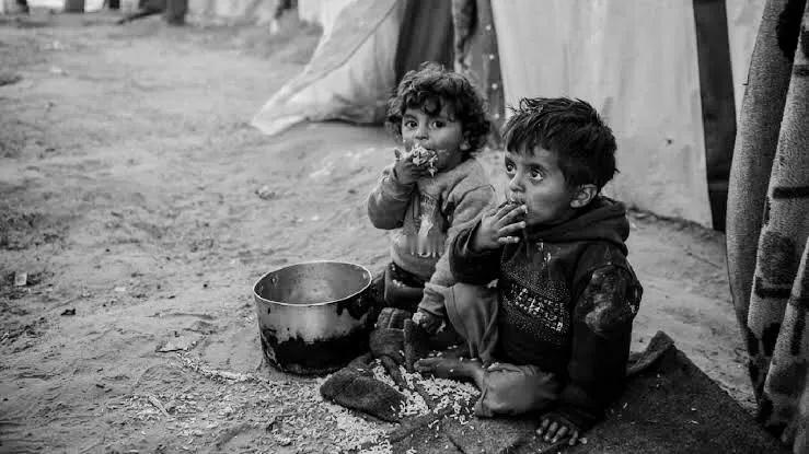 哈马斯:

目前已有13名儿童因断粮死于饥饿，这是国际社会和人类的耻辱。。(信息