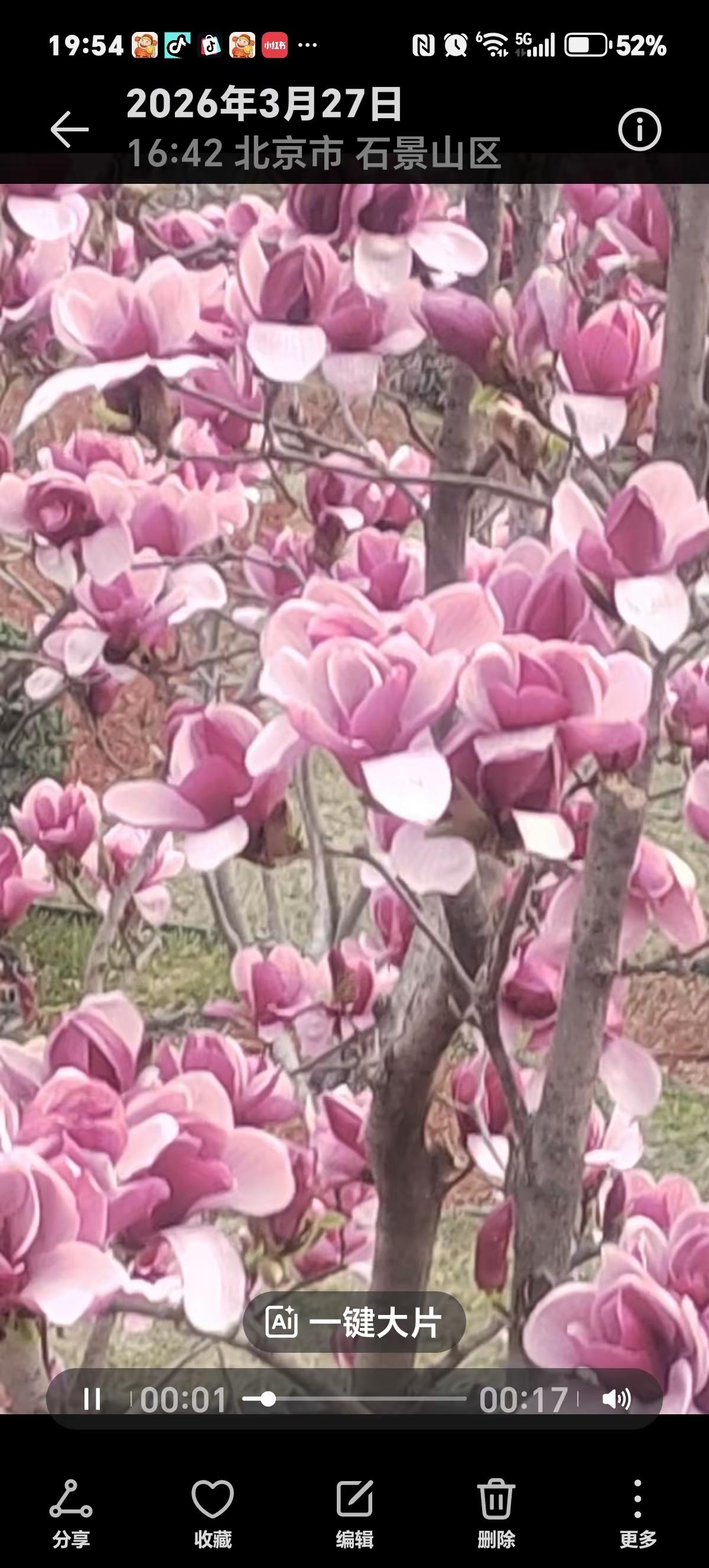 春日生活打卡季乱花渐欲迷人眼。