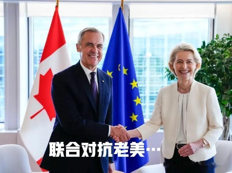 欧洲联合加拿大要围攻美国？
特朗普：切，三脚猫的功夫，毛毛雨啦！