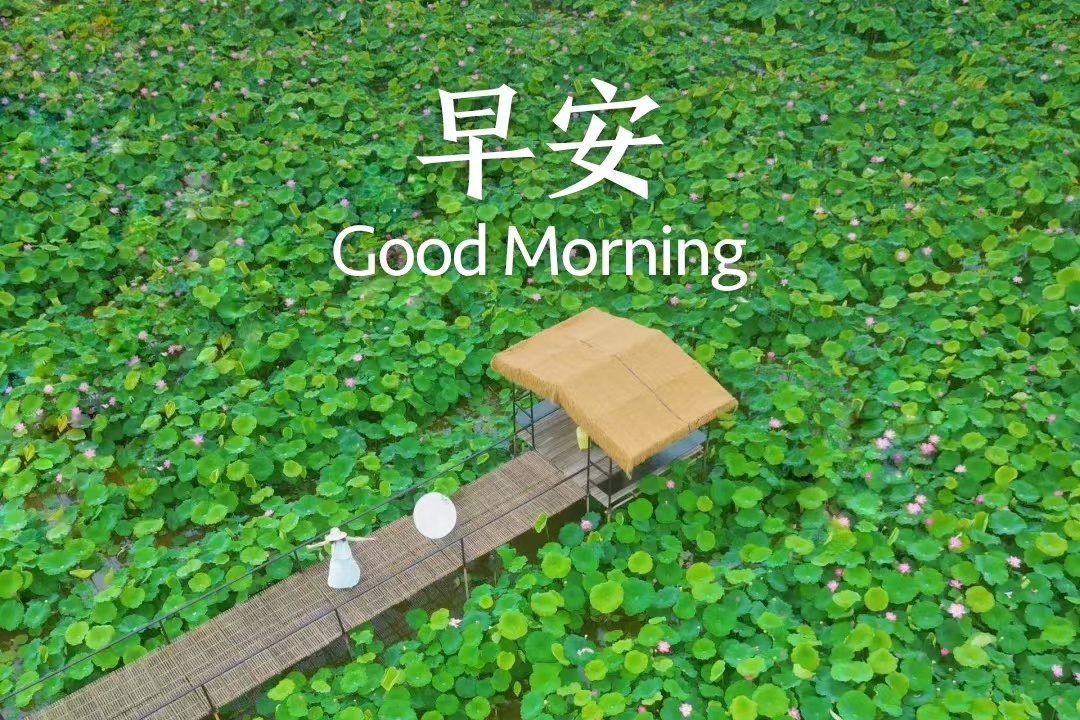 新的一天开始了 或许你感到迷茫 但要相信 总会有些温暖在等远处等你 往前走总会相