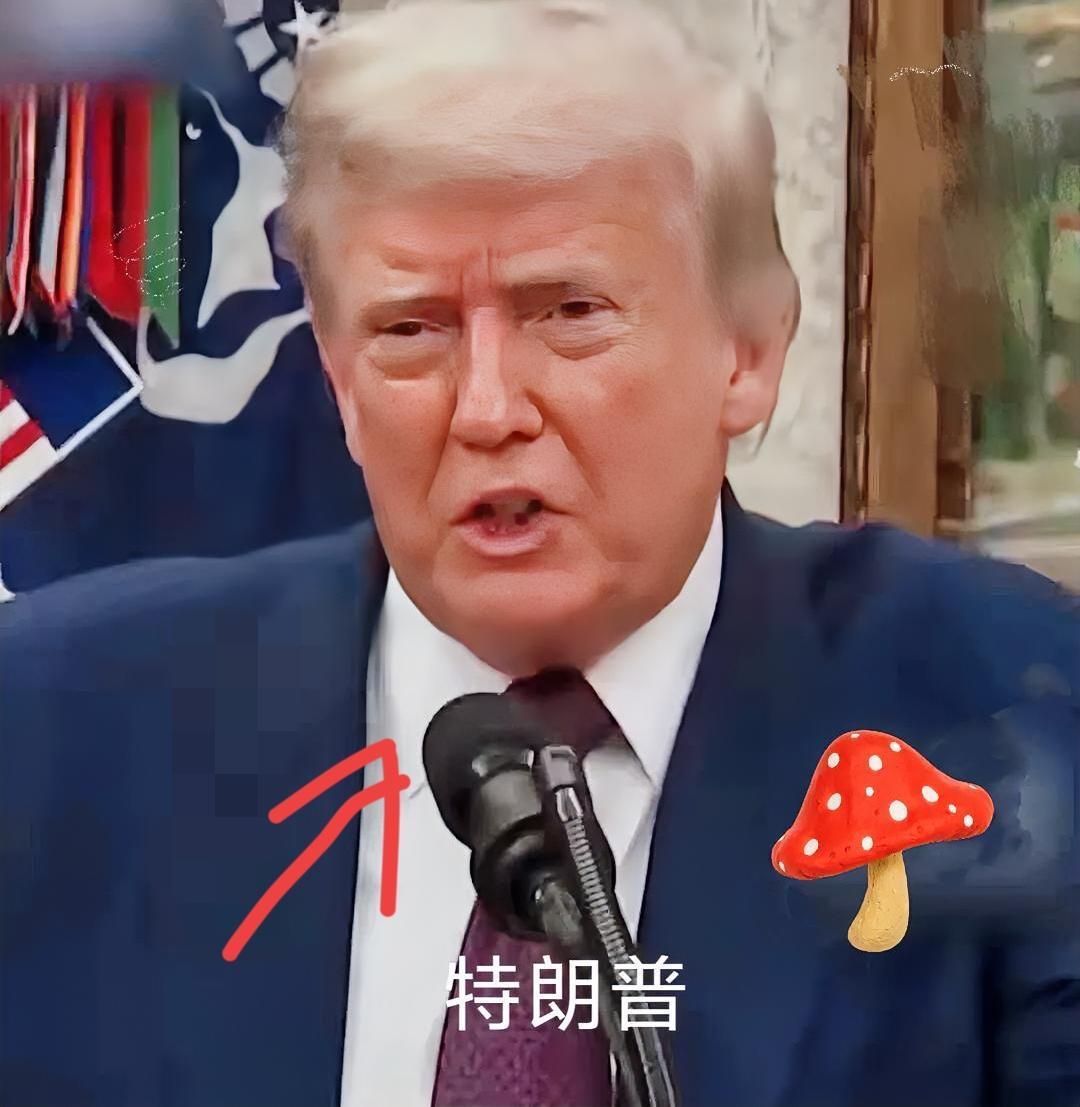 特朗普在9月23日联合国大会演讲时又搞出大动静！
他放话要是俄罗斯不打算停战，美