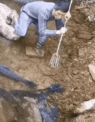 大家猜猜他为什么插不上，小学生都懂得道理，你猜对了吗？