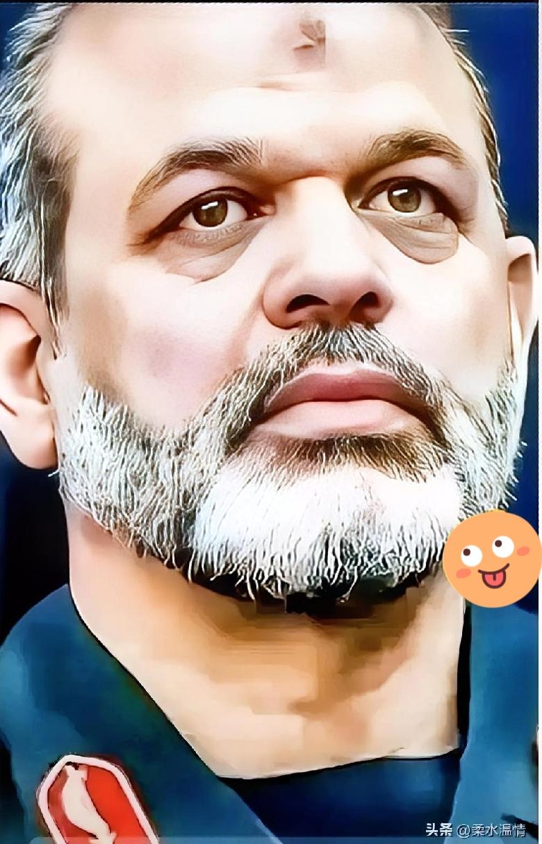 好消息！日本约95%的石油从中东进口，保障霍尔木兹海峡畅通，对日本来说是头等大事