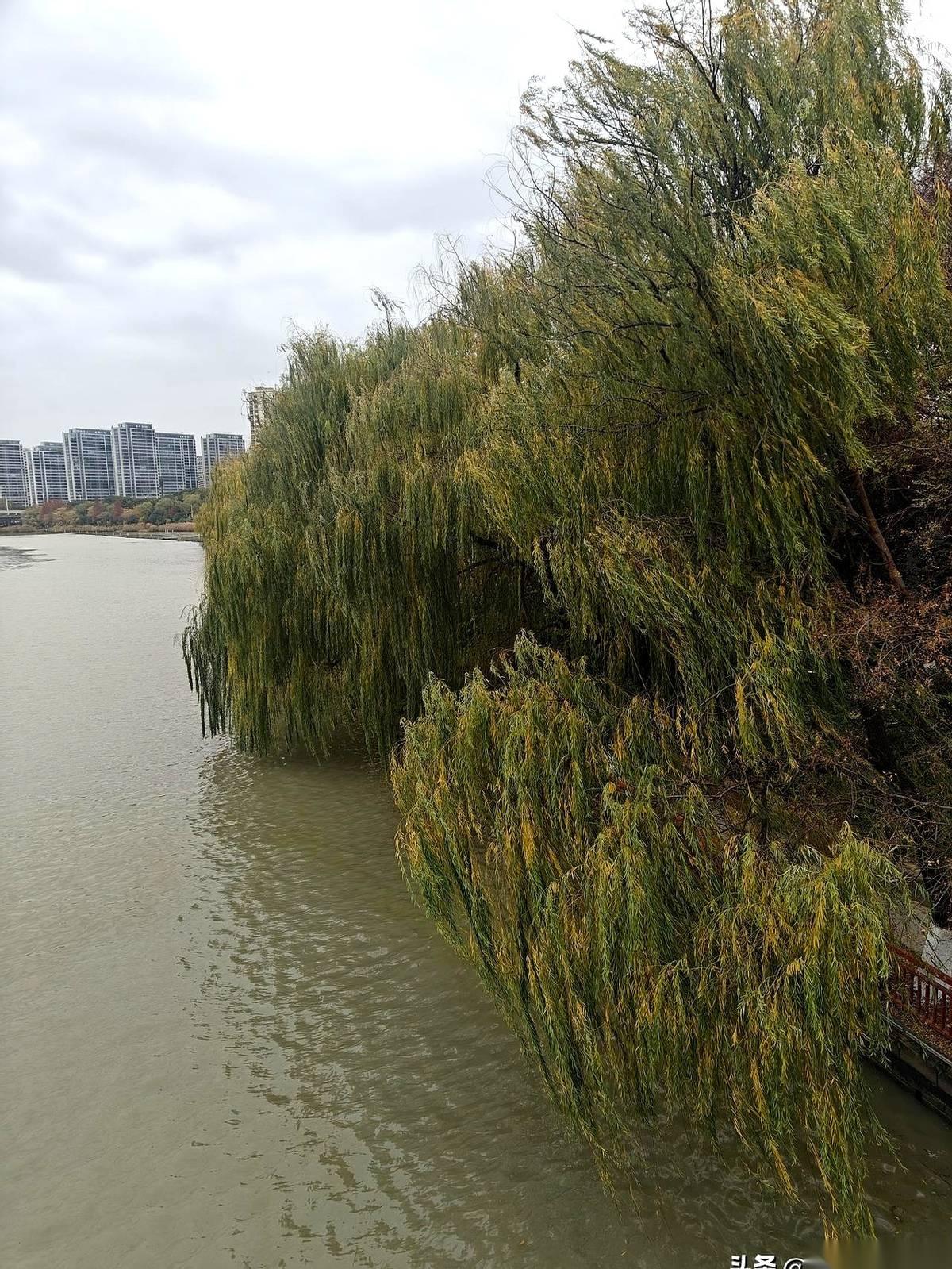 说真的，有时候觉得人特有意思。
一个背包，一张车票，刚从那个叫“家”的地方出来，