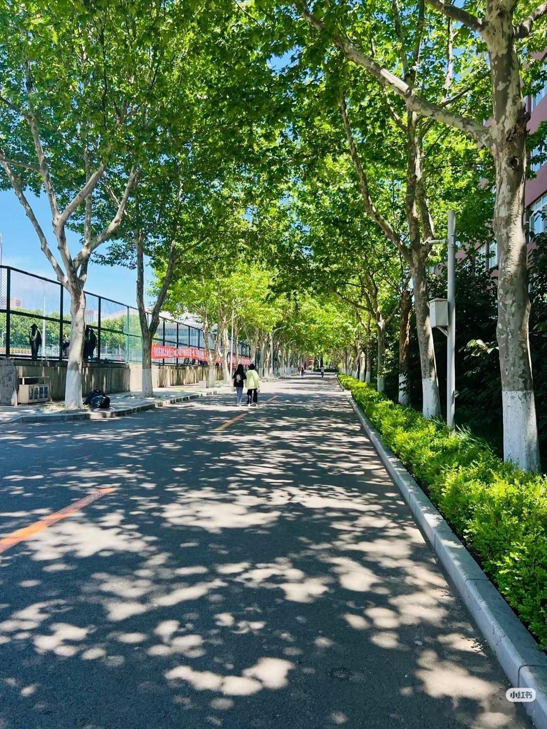 你终于发现上大学的真正主线了 不是死磕绩点，而是找到自己的节奏——泡图书馆啃喜欢