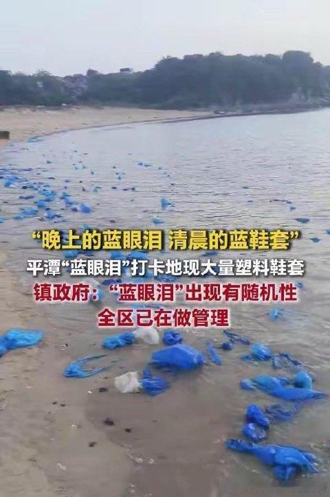 平潭岛“蓝眼泪”变“蓝鞋套”！海岸垃圾绵延两公里
 
4月26日，福州平潭岛君山