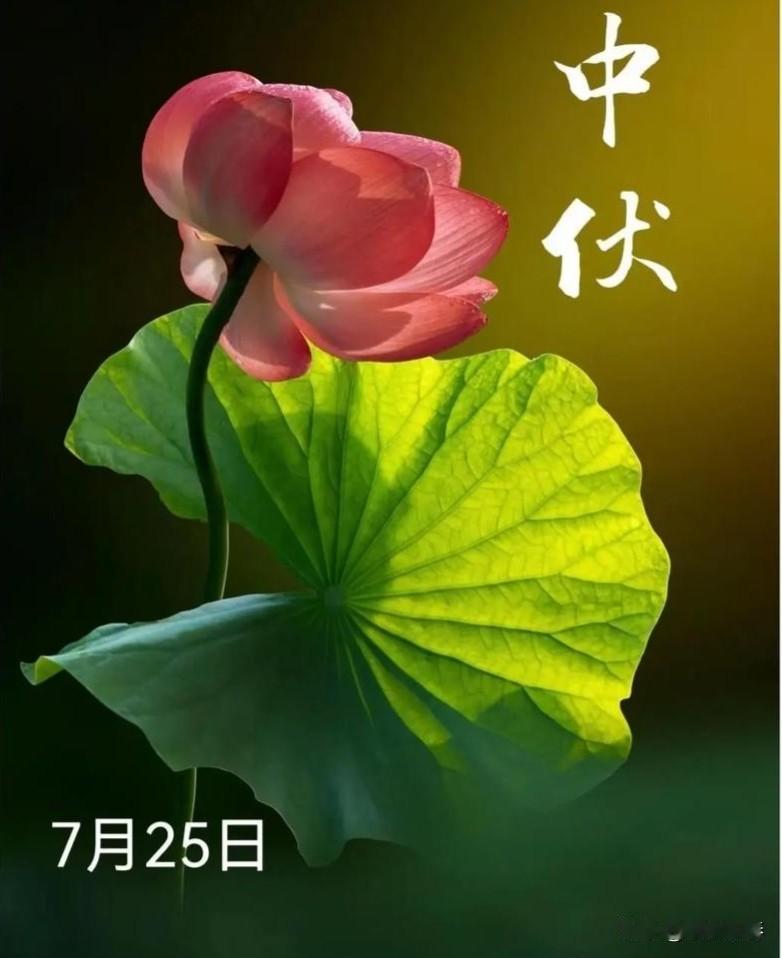 今天是8月4号。

我奉劝各位一句，从中午到下午四点之前，能不出门，就别出门了。