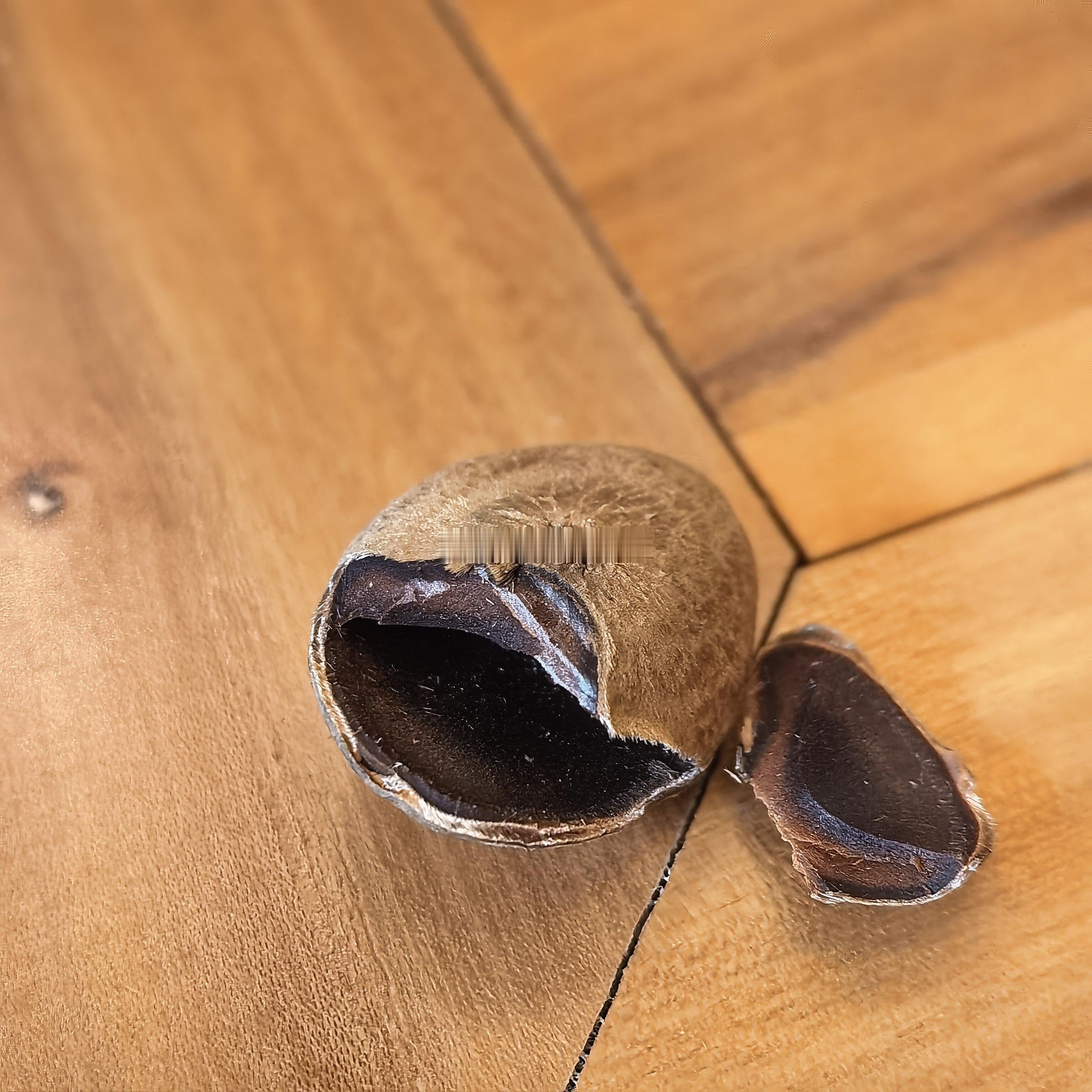 马钱子炮制品和生品对比。炮制品砸开有一股焦香如咖啡豆一样，生品闻不出什么气味。马