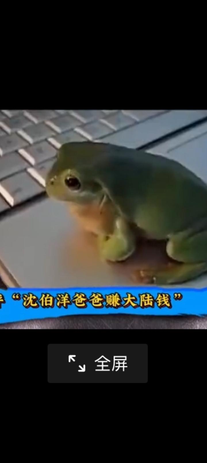 赵少康也很幽默，哇，两手一摊。
沈博洋爸爸在大陆赚钱，难道不给他花？
大陆不会把