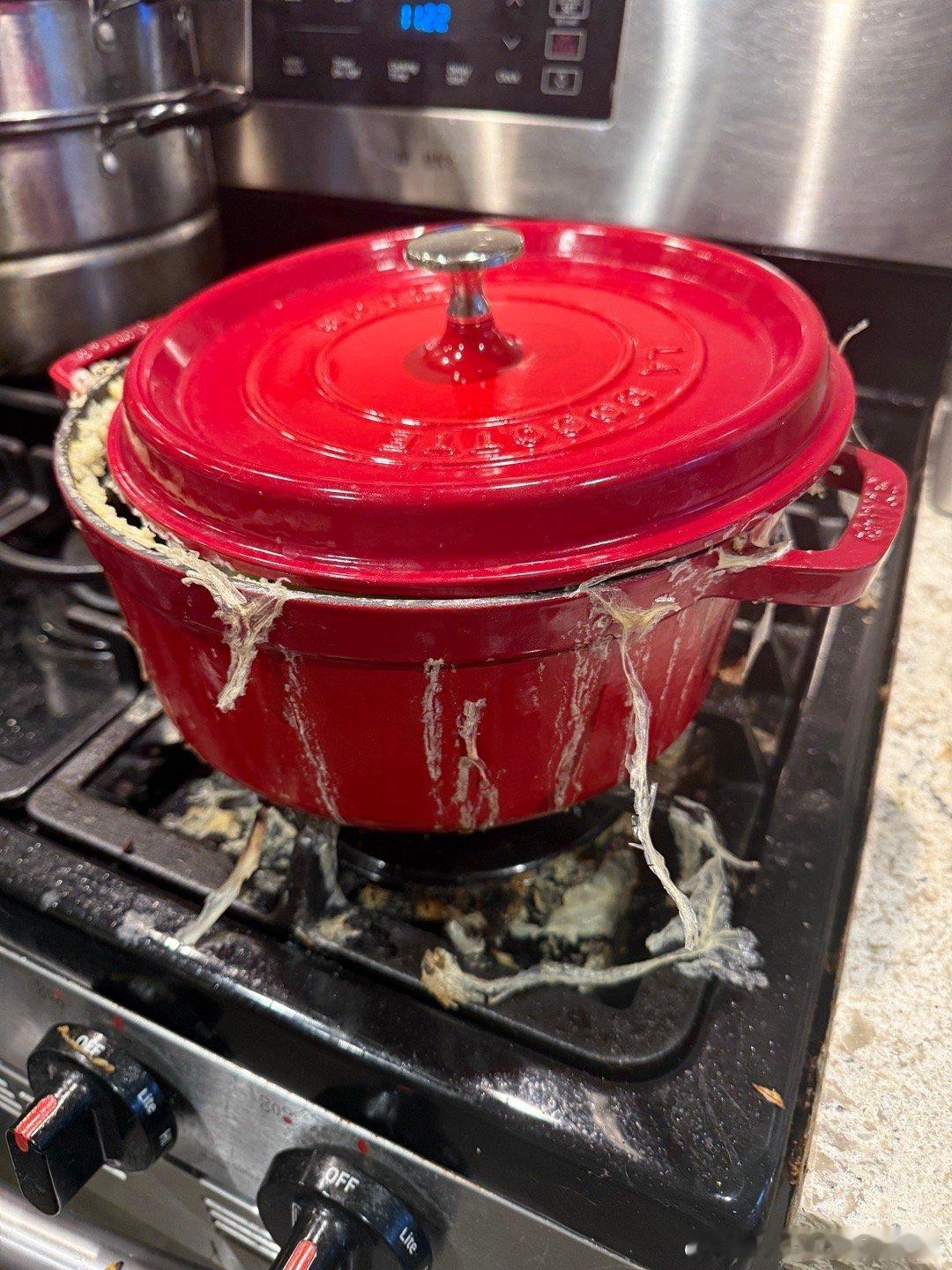我媳妇开车技术很好但是做饭技术就……关了一扇窗 ​​​