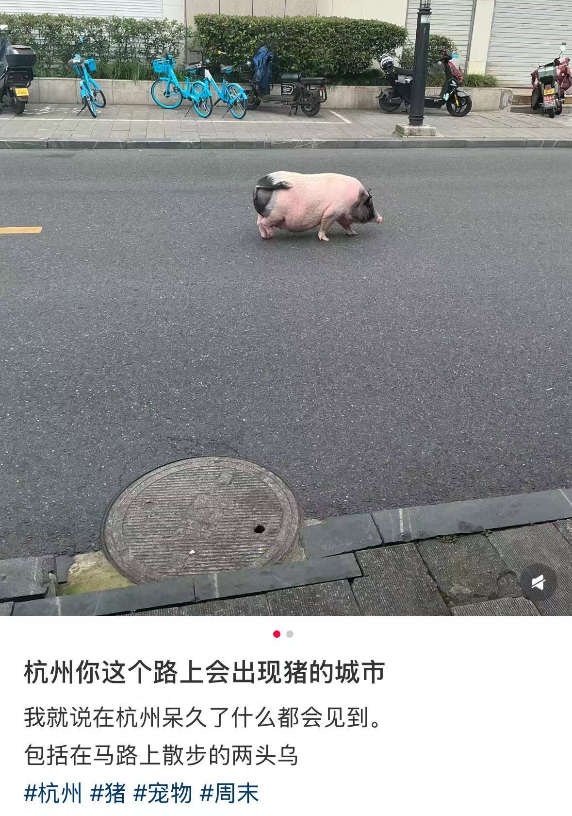 分享图片 