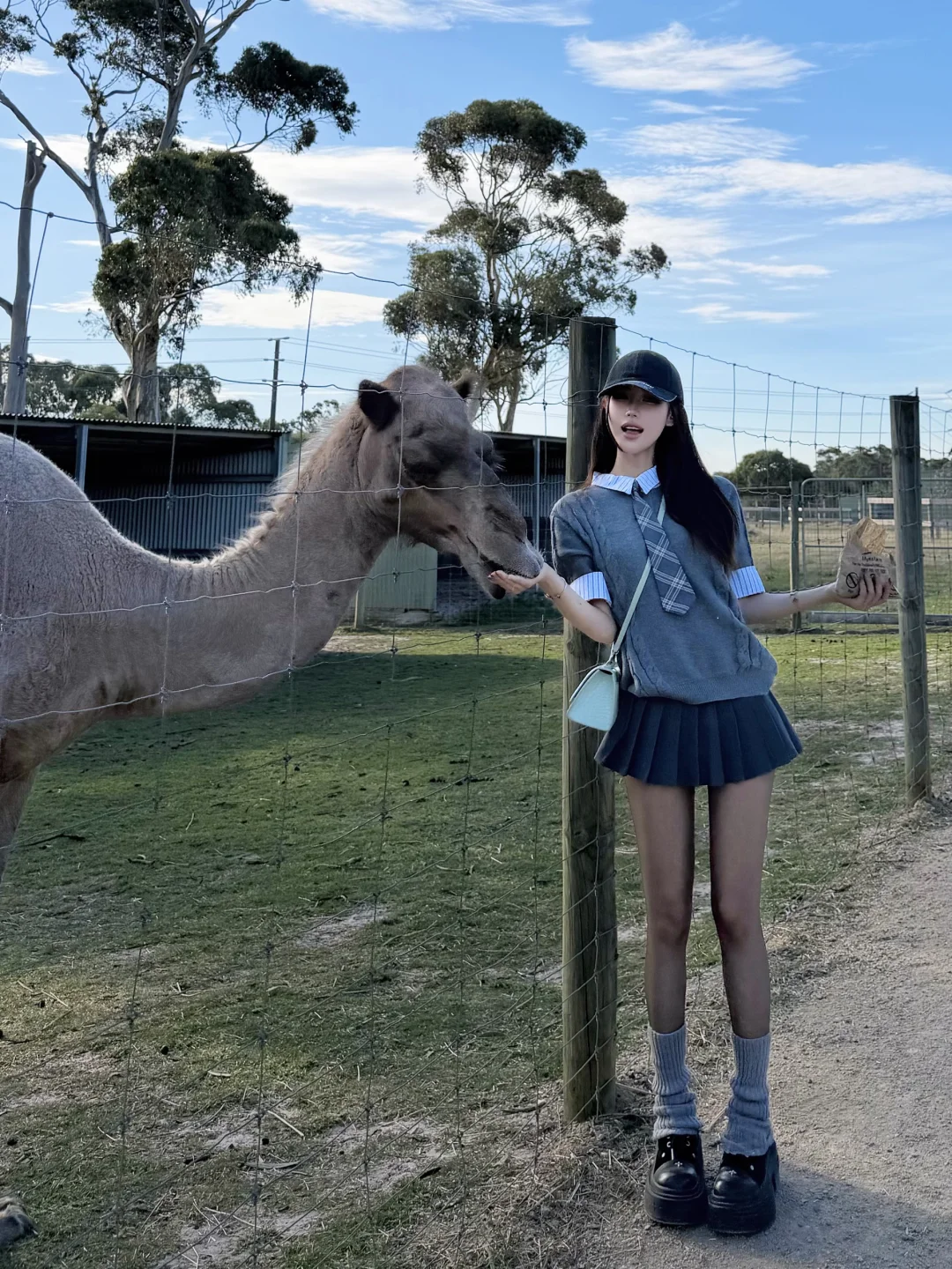 🇦🇺找到了宝藏动物园！！