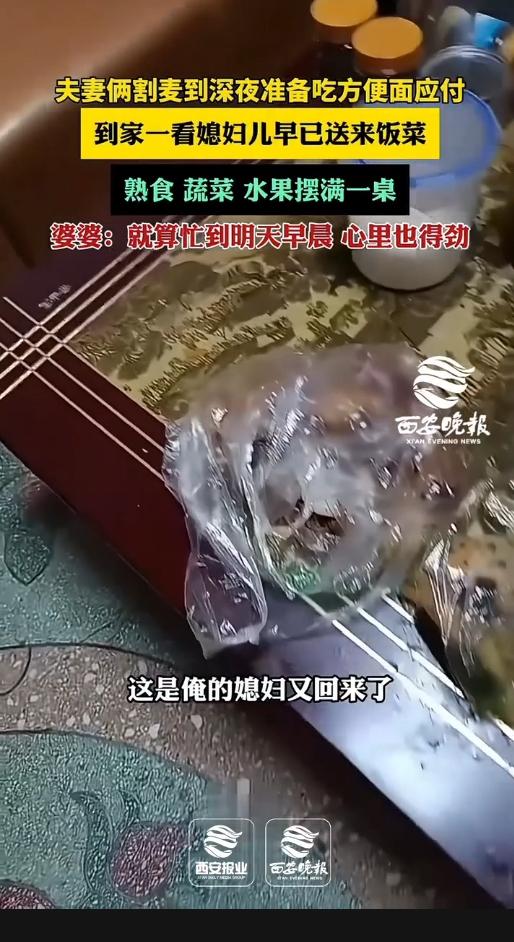 暖哭！老两口割麦到深夜，本想啃口泡面，推开家门瞬间红了眼！
 
近日，河南一对老