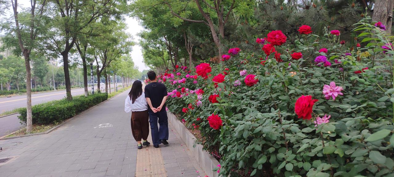 把每一天都过成诗的样子…
又是全新的一天，请把烦恼调成静音，把快乐调到最大声。愿