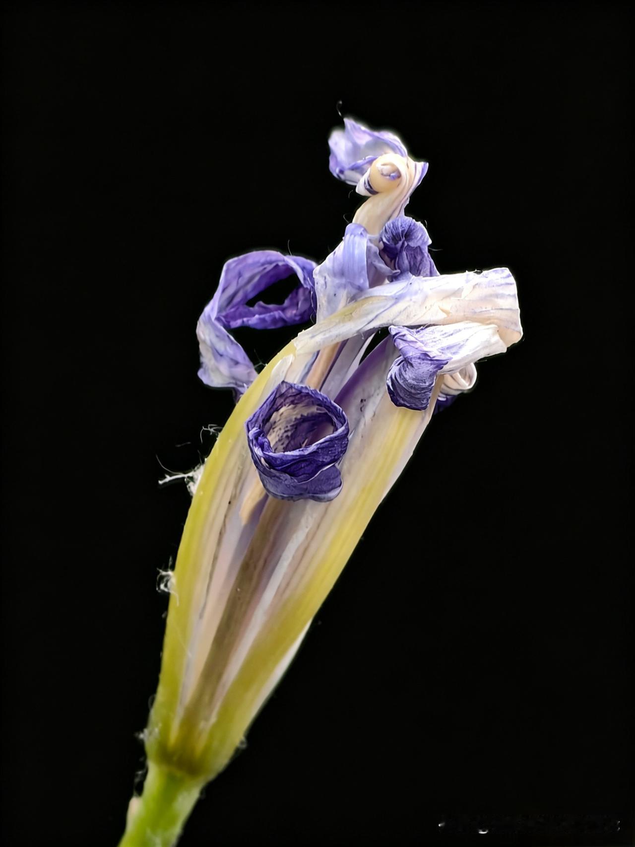 真是郁闷呀，30天禁言后，无论发什么阅读量都上不来，也不知道需要养多久？