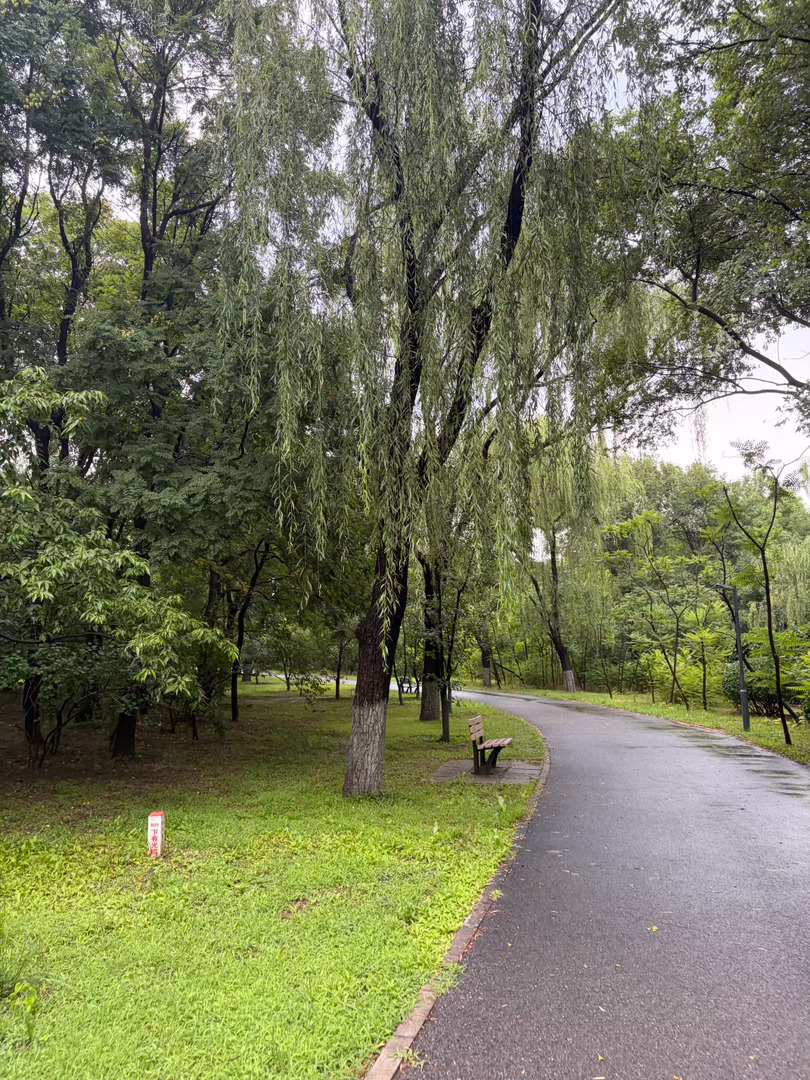 雨后天晴在朝阳公园跑步听什么？当然是begin了 我觉得生活在一个愿意在雨后出门