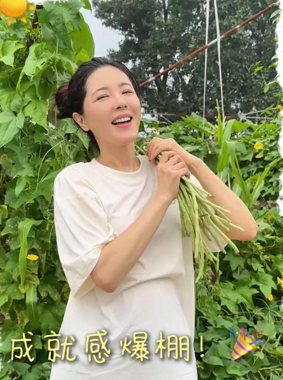演员曾黎因为自家庭院种菜的视频再次刷屏。镜头里的她，工服、雨靴、旧锄头，松土、埋