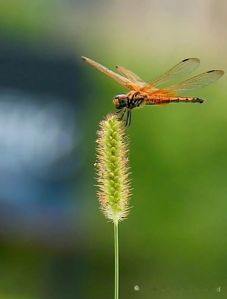 醍醐灌顶的一句话：要记住别人的好，更要记得别人对你最恶毒的瞬间，那里面藏着最真实