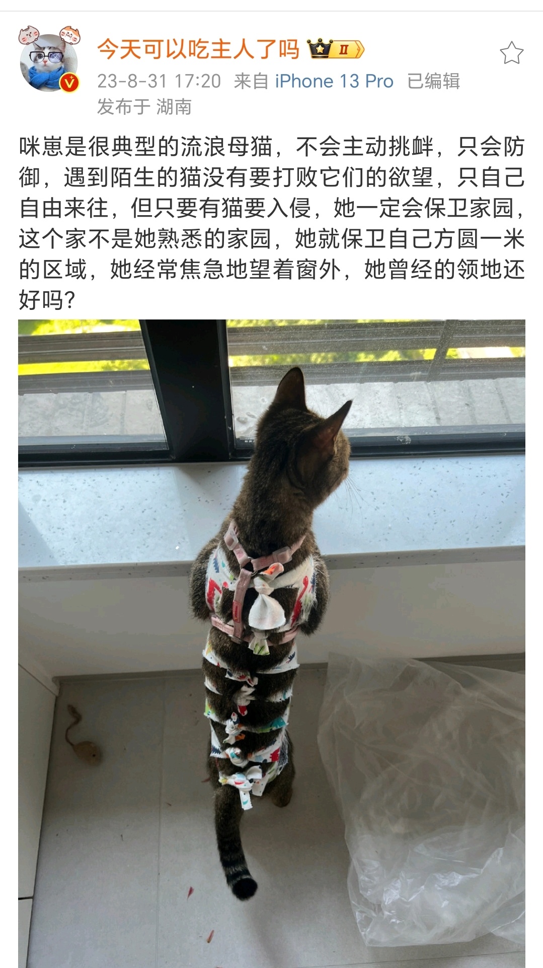 小猫国唯一的姐[超话] 很温良的姐 ​​​