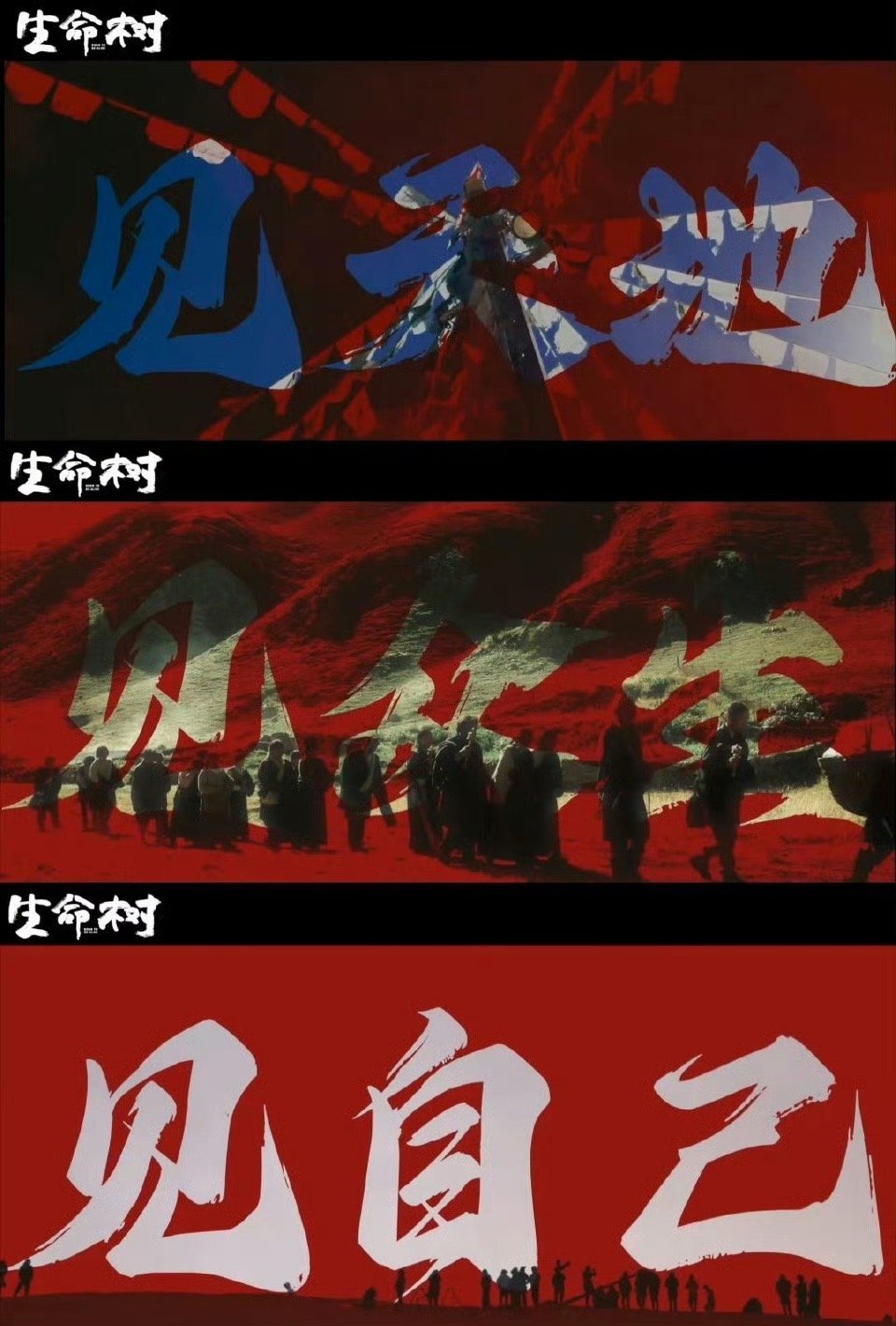 生命树首发杀青特辑 看完《生命树》杀青特辑我宣布这将成为我接下来最期待的剧，没有