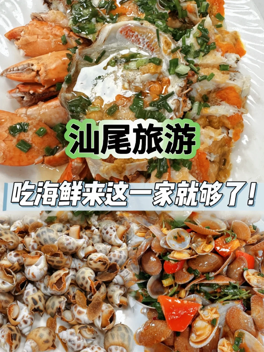 汕尾旅游，吃海鲜来这一家就够了‼