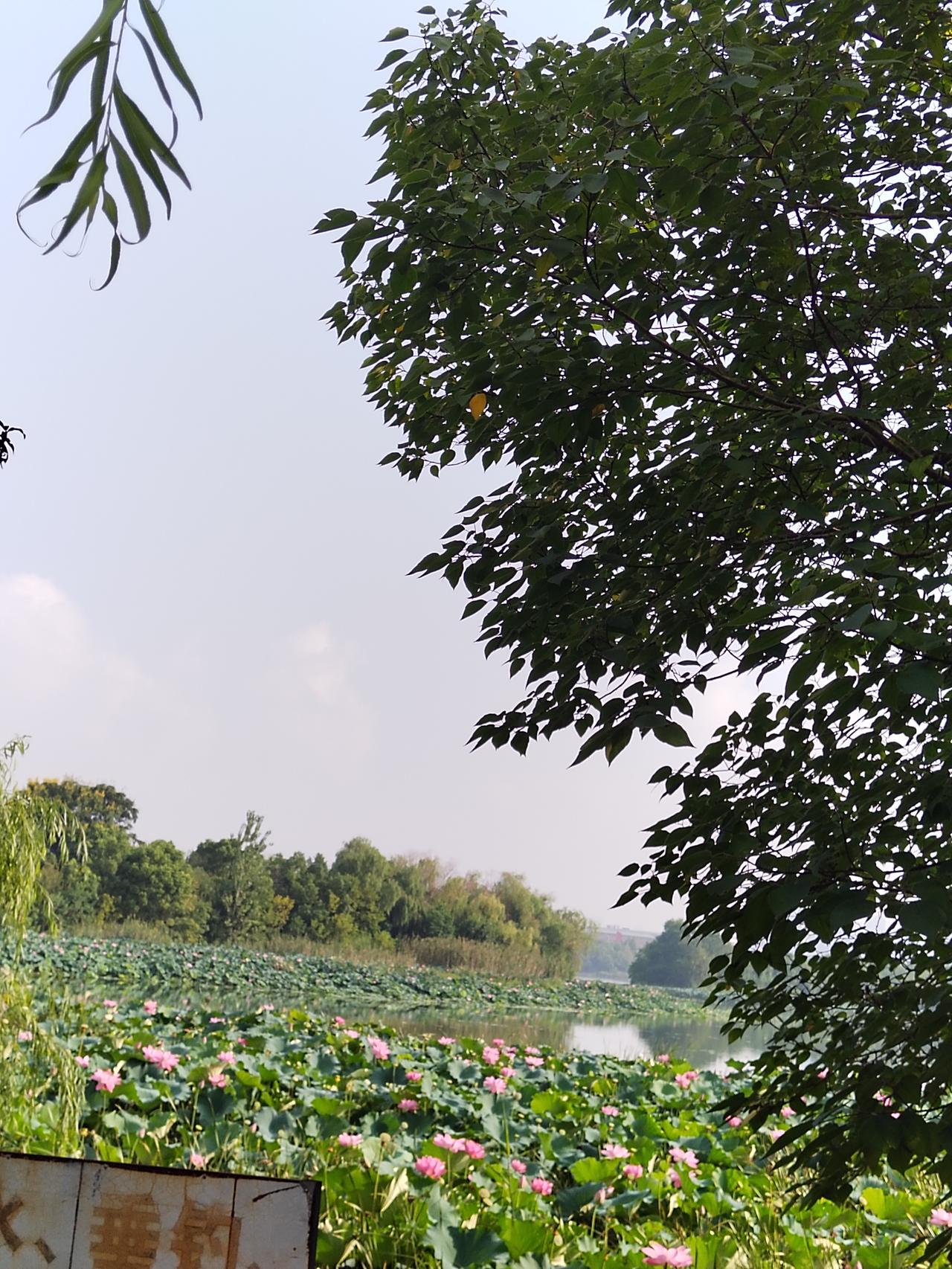 生活的第一个目标应该就是赚钱，那我们普通人应该如何赚钱呢！
1. 目标聚焦： 不