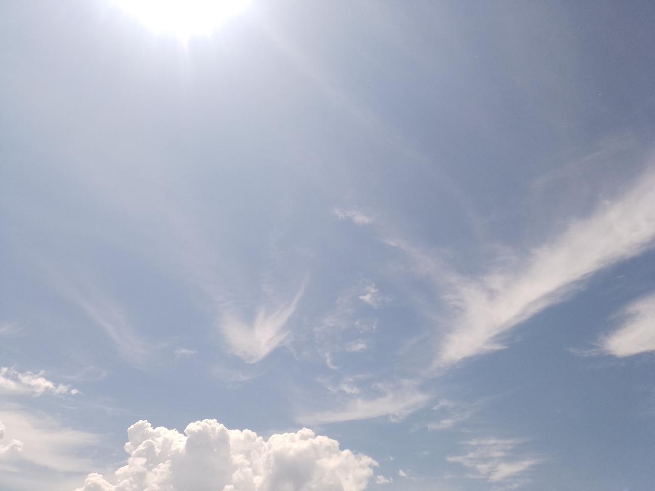 看看再婚的老人，她好不好，自己又好不好。倘若再婚老人不错，那该赡养就得赡养，她也