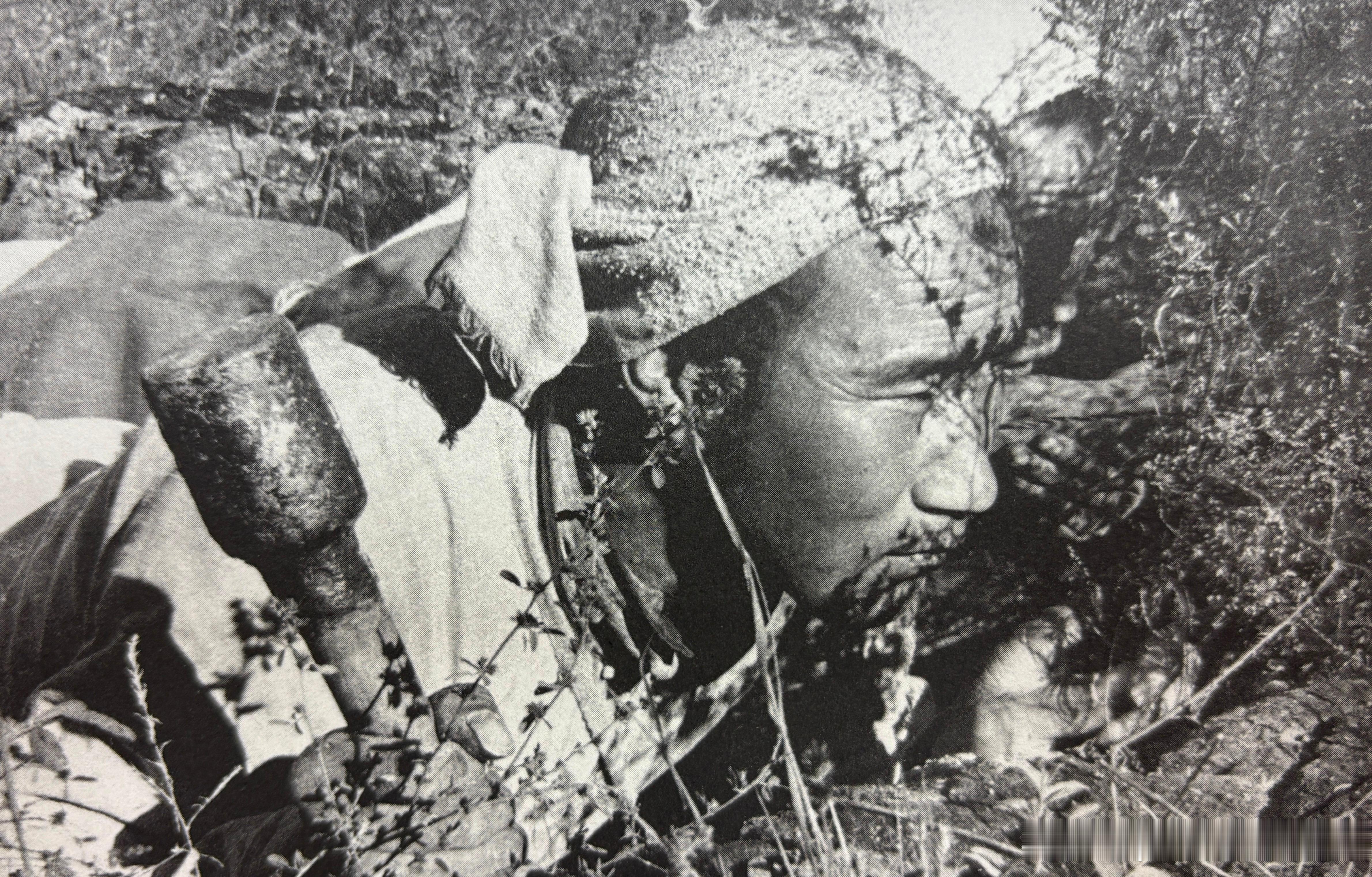 抗战时期在花草树木的遮掩下，战士们严阵以待。徐肖冰摄影军事历史全触达