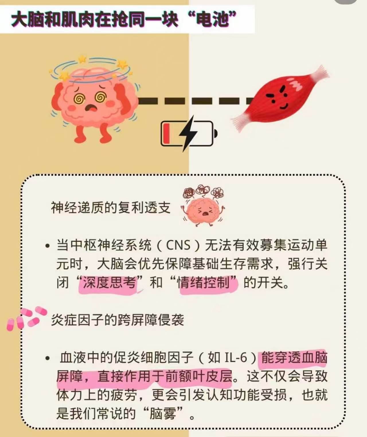 有没有发现，明明天天坚持锻炼，却越来越疲惫、专注力持续下滑？很多人压根没意识到，