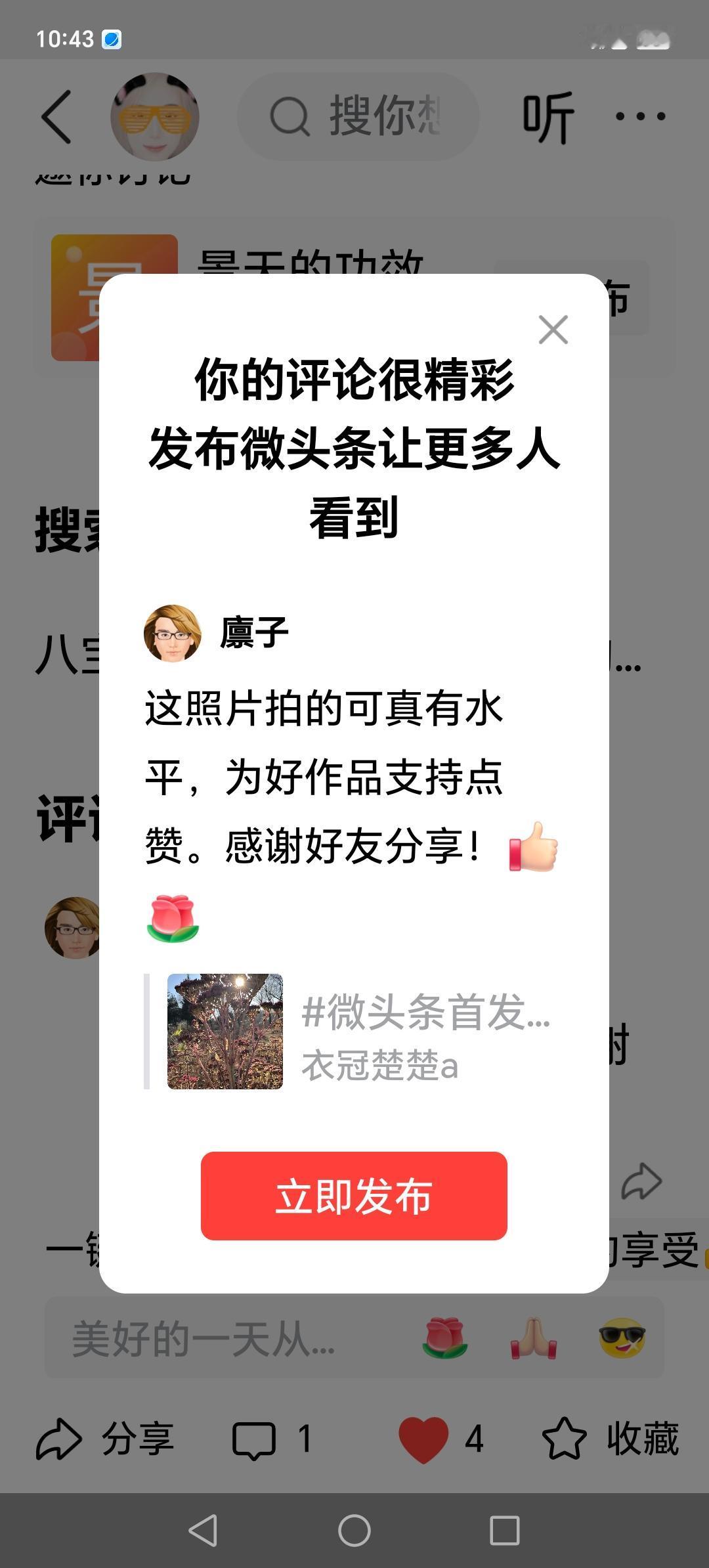 摄影水平真的很好。支持点赞！[赞][玫瑰]