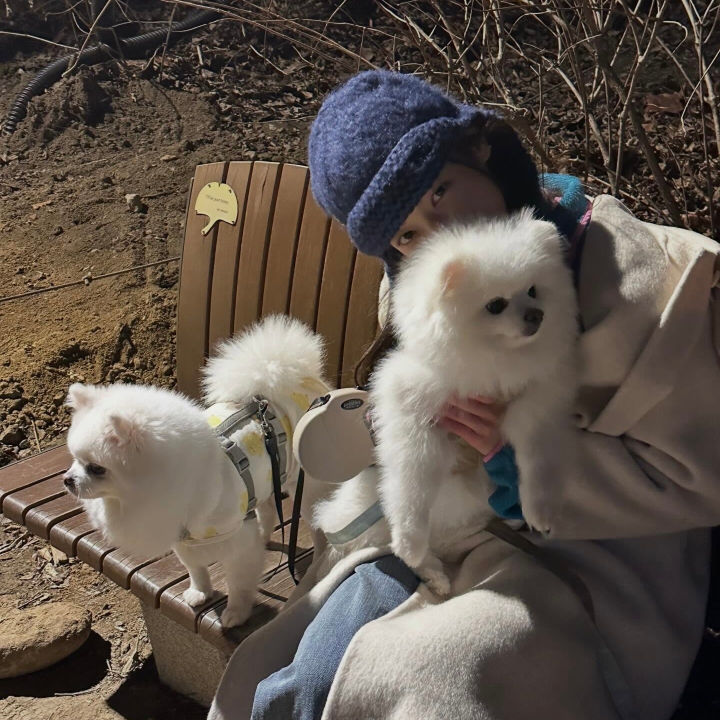 👭🏻🐾*. ·*Lia & Chaewon 