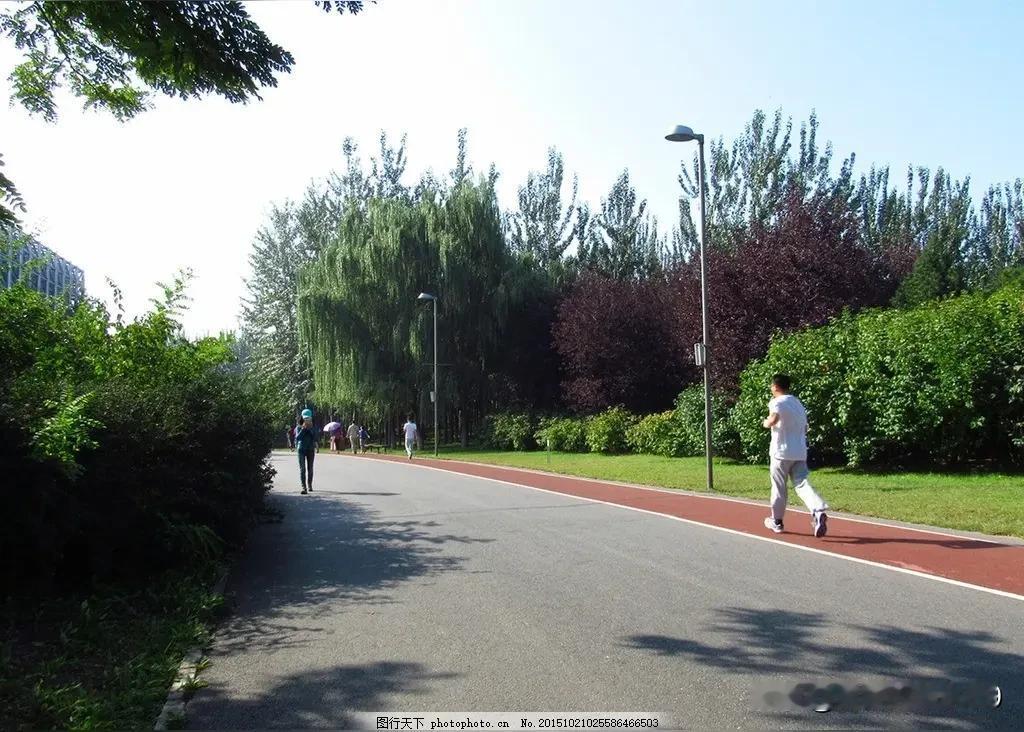 晨跑打卡，呼吸清新空气，人特别提神醒脑。