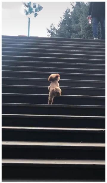 如果40岁你还没有被提拔，不一定是你能力不行，是因为你没有被提拔的价值！
孔子说