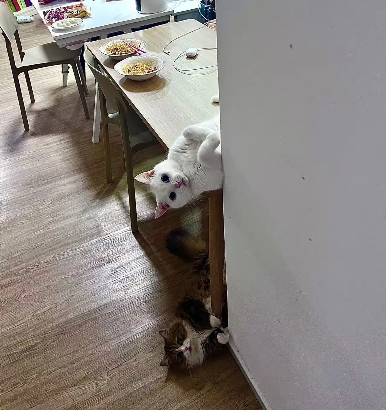 突击检查，在干嘛。