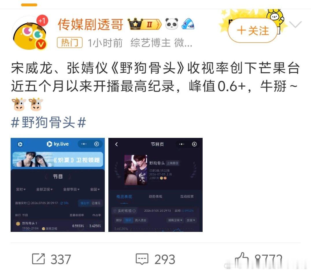 宋威龙、张婧仪的野狗骨头好猛啊一开播就冲击芒果年冠了，这部好看吗 