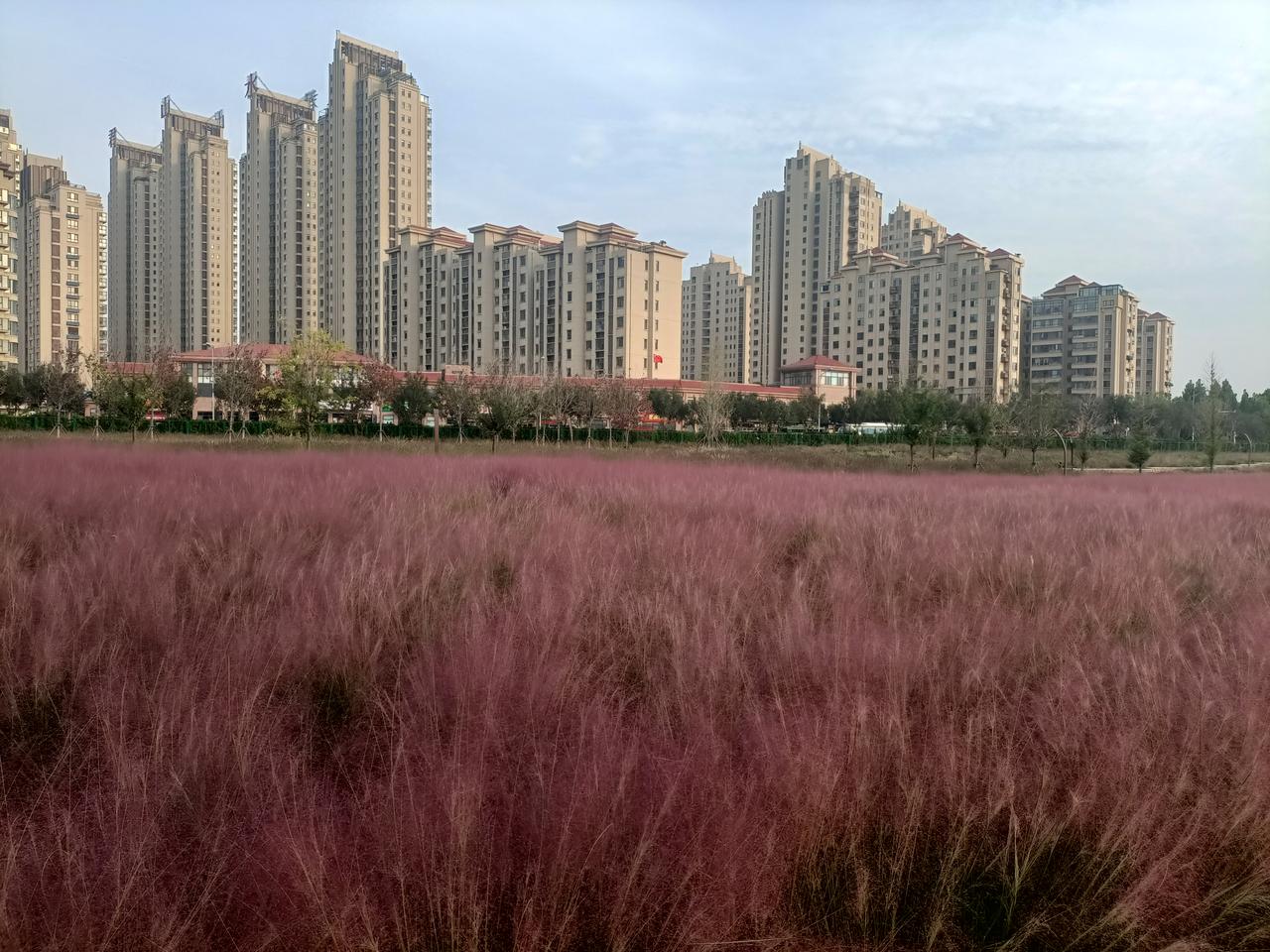 为什么种地搞不得？


文礼是我的发小，他高二就辍学打工，可是由于没有一技之长，