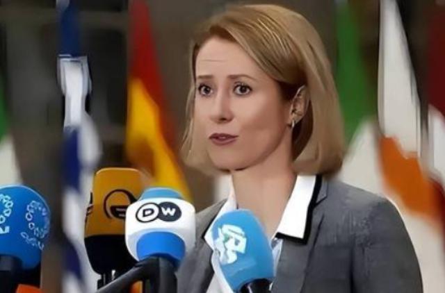 欧盟外长被中美俄同时拉黑，法德终于忍不住动手了

法国和德国这两个欧盟的领头羊，