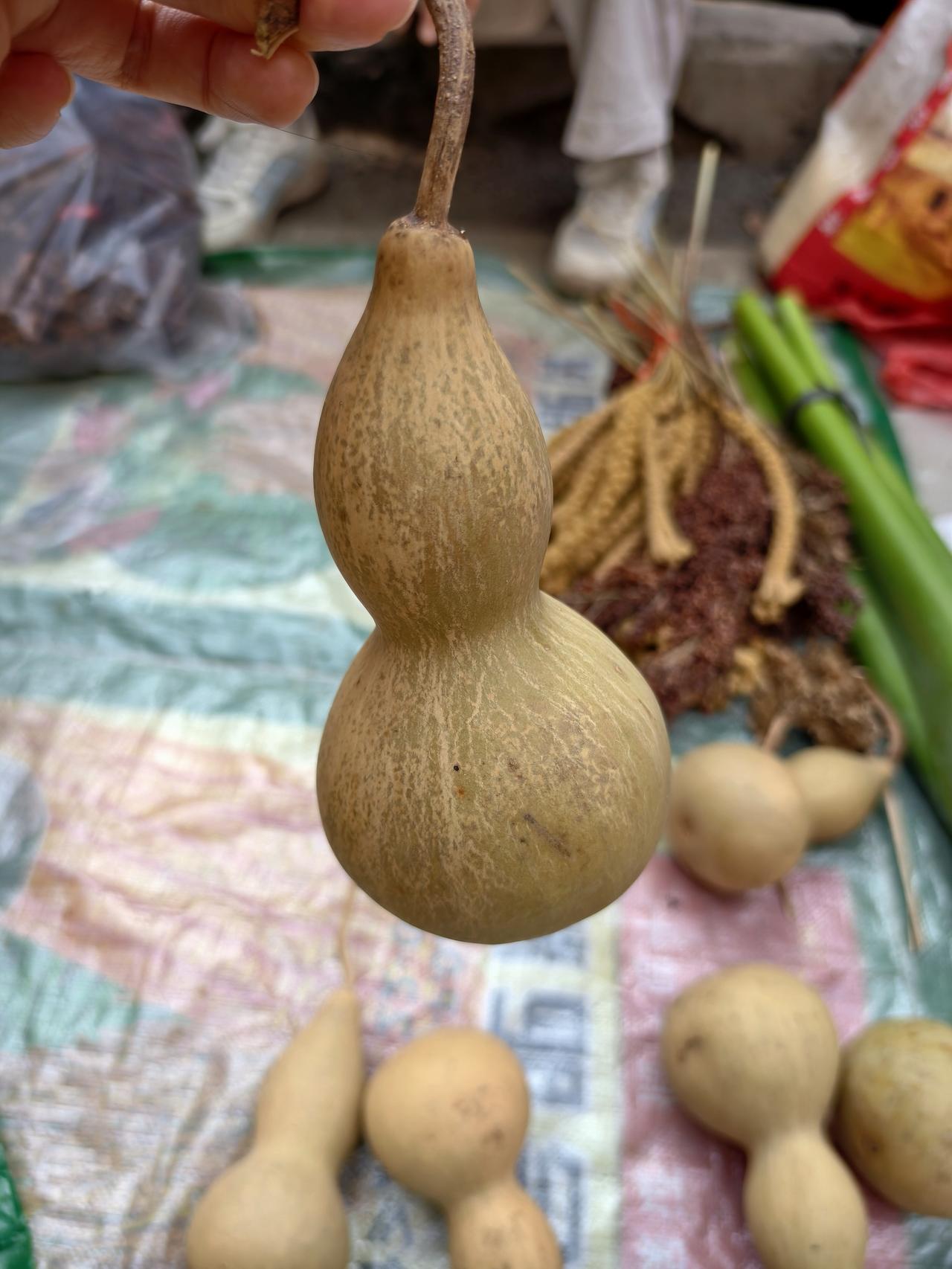 弘一法师曾言：“真不忍心告诉你，这个世界只是一场梦，你一辈子执着的子女、亲人，只